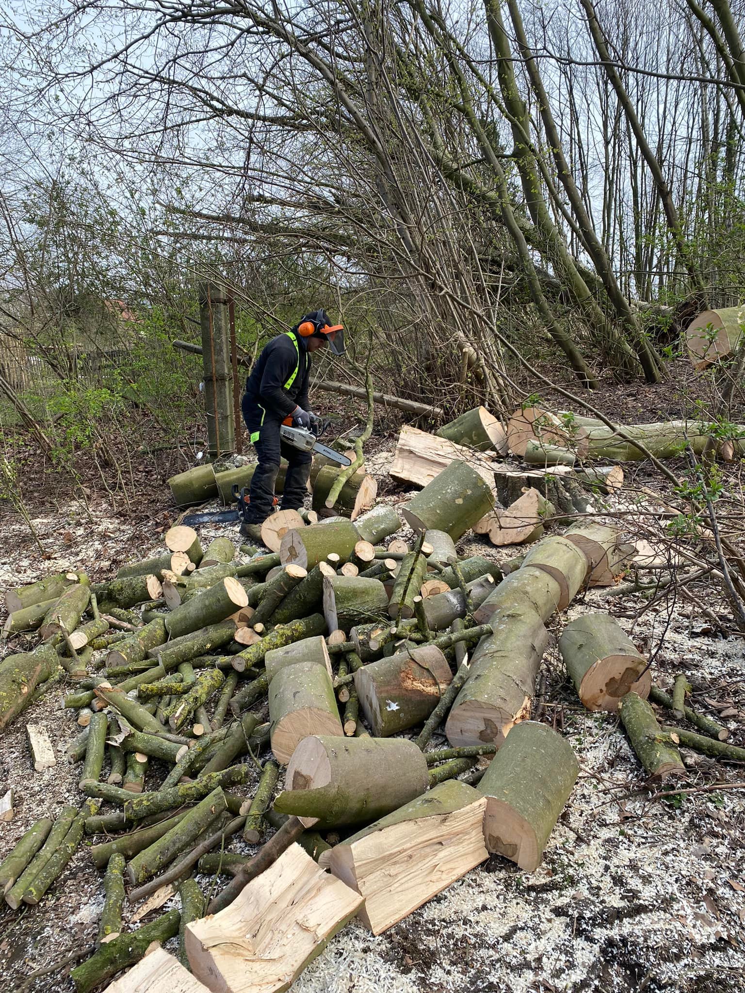Kwaliteit brandhout verkopen