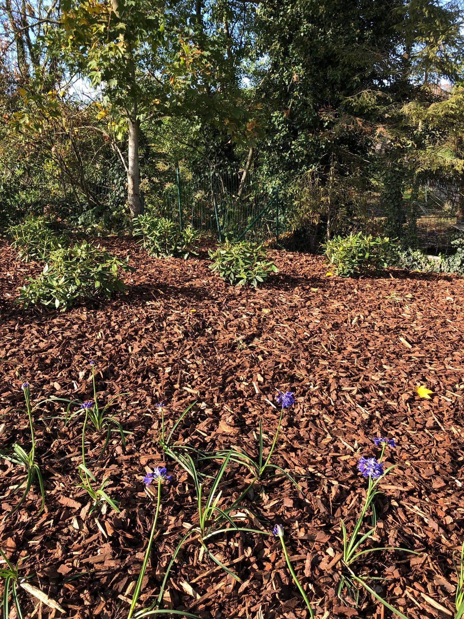 Tuin onderhouden